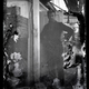Illustration for article titled 100-year-old negatives from the Ross Sea Party found in Antarctica